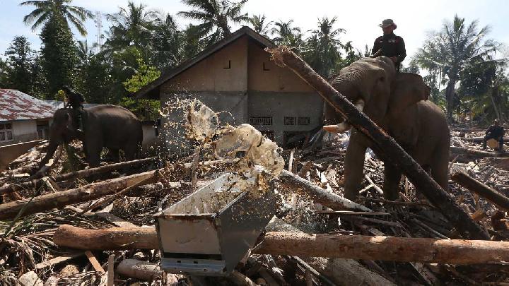 Banjir Sumatera: Pelajaran Penting tentang Manfaat Sains Iklim