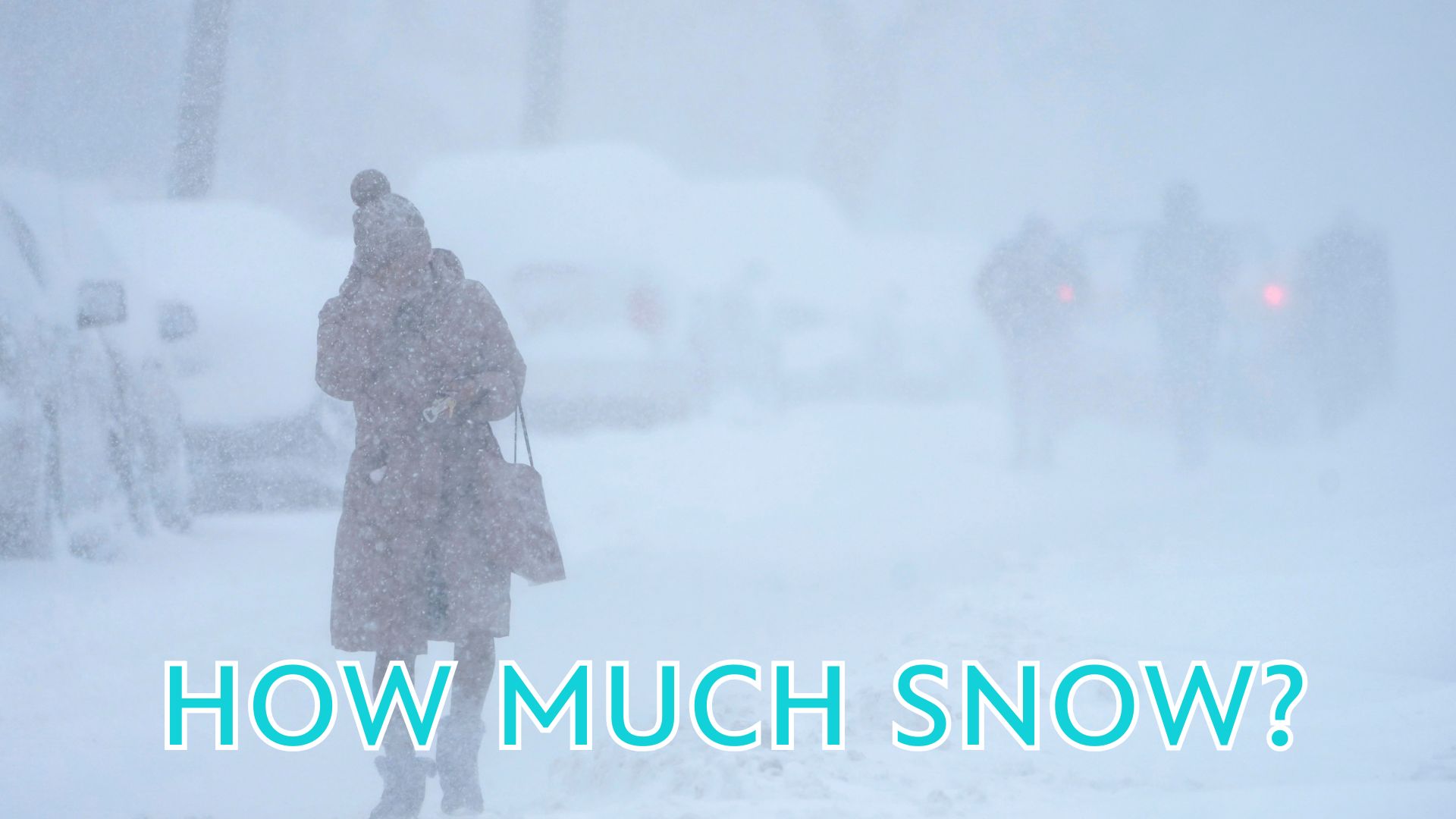 Snowfall totals across New York City, Tri-State area from powerful winter storm<br>