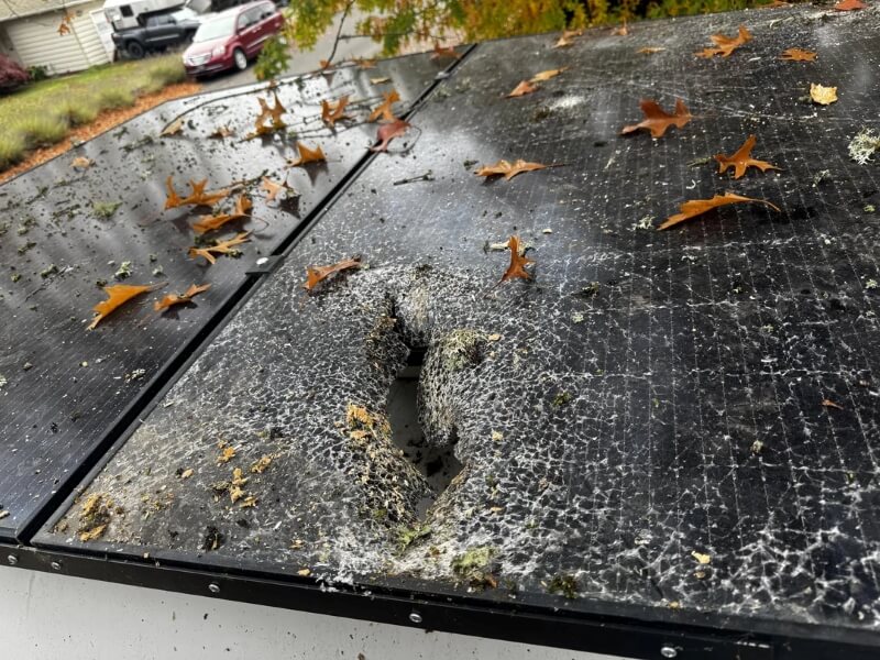 RV driver shares powerful image after massive tree branch crashes onto ...