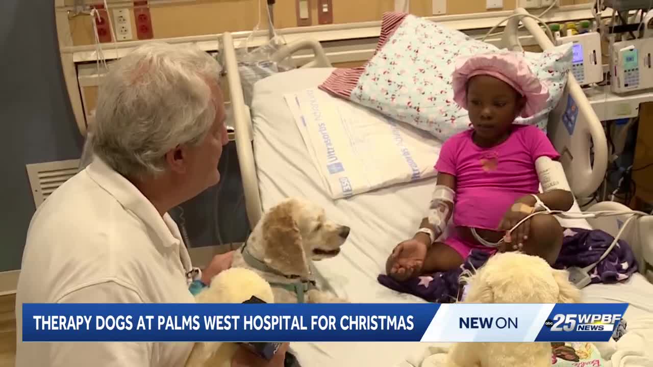Therapy dogs cheer up kids at Palm West Hospital