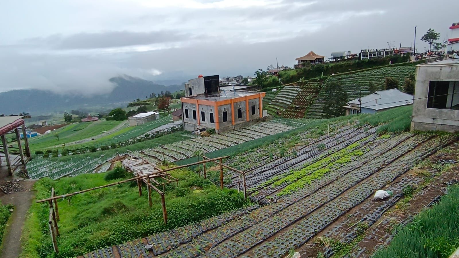 Nikmati Libur Natal di Nepal Van Java Magelang dengan Pemandangan Lereng Sumbing Ala Himalaya