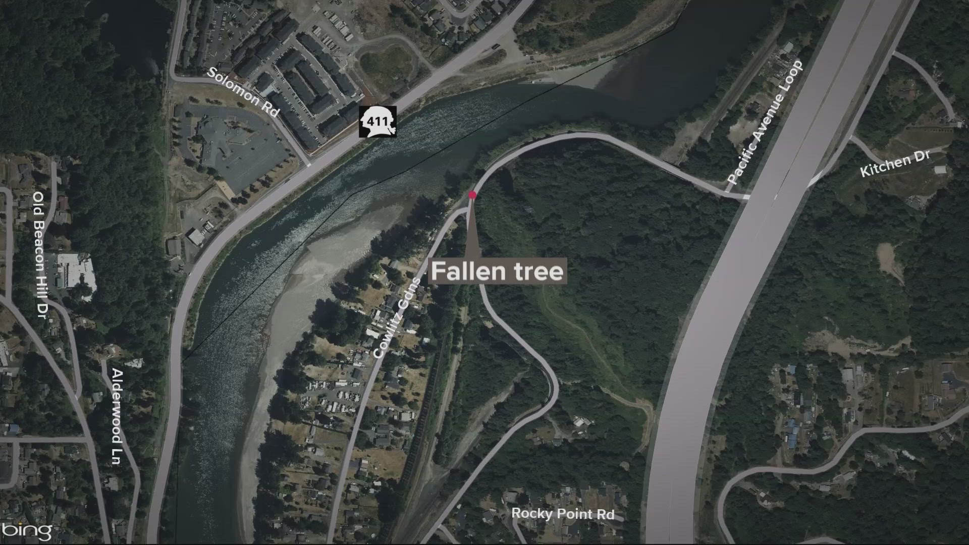 Man killed after tree falls on tent in Cowlitz County