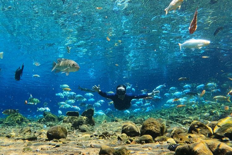 Wisatawan Tertarik Berfoto Bawah Air di Umbul Ponggok Klaten