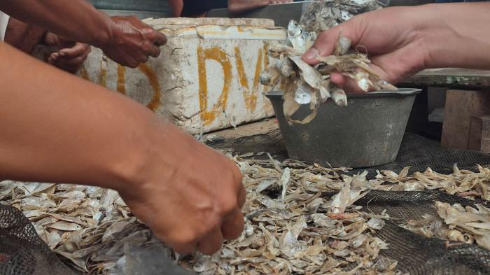 Upaya Kelompok Pertiwi Roban Timur Meraih Keuntungan dari Bisnis Ikan Asin