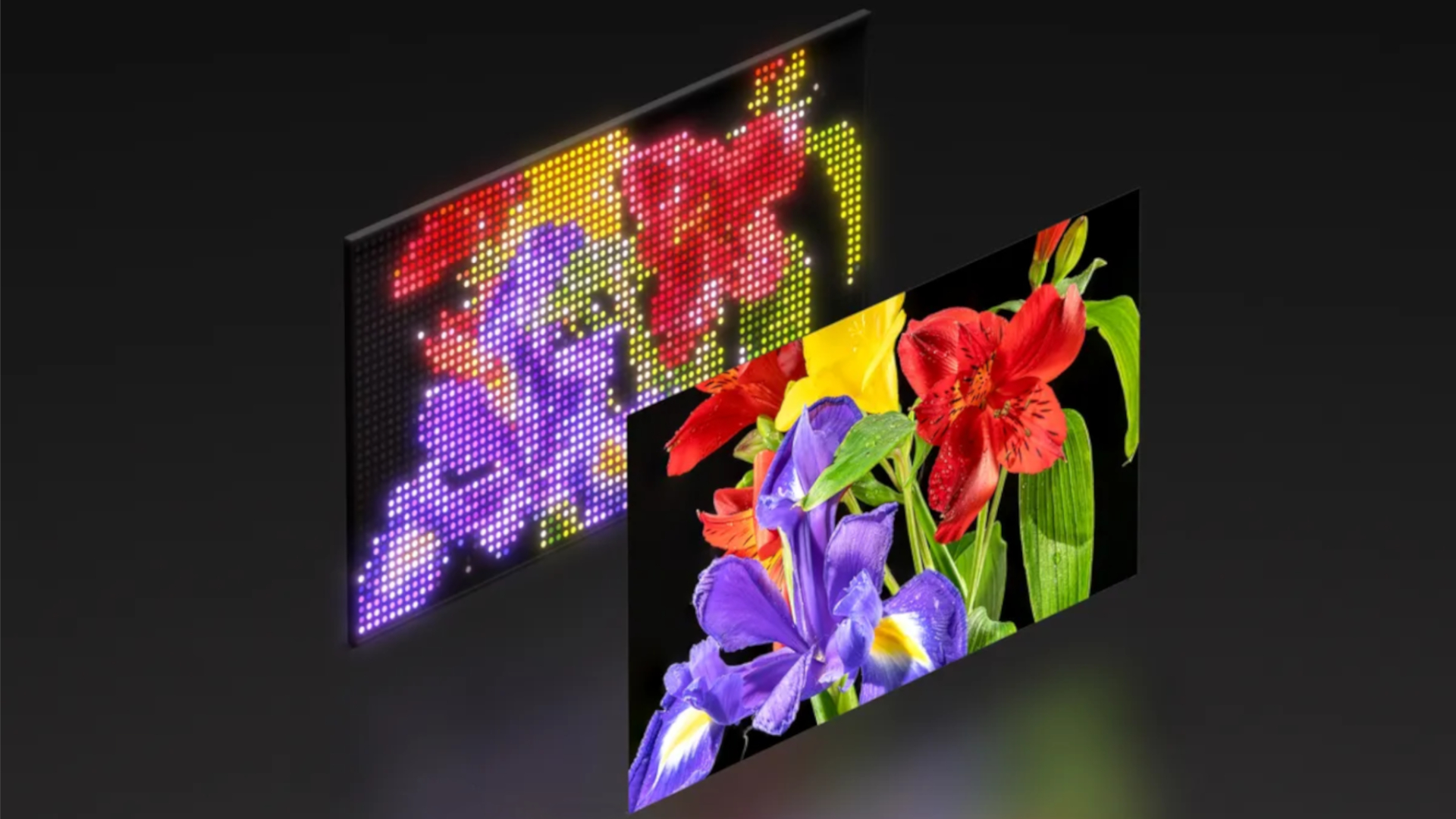A visual demonstration of Sony's newest Mini-LED technology: Two rectangular displays sit side by side at an angle, suggesting two layers of the same display. The foremost display depicts a close-up of colorful flowers, while the display behind it depicts the same colorful flowers comprised of thousands of tiny squares.