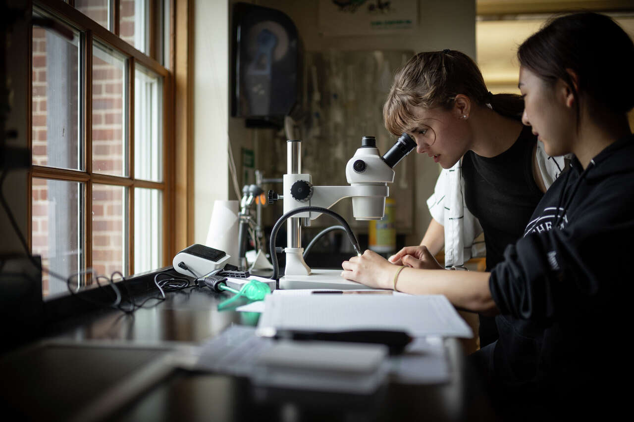 Connecticut students are helping Stanford reseachers look for a cure ...