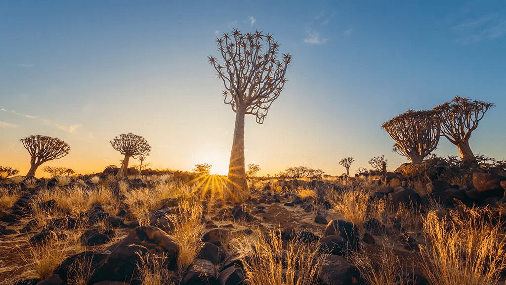 Namibia named Africa’s top destination for authentic travel