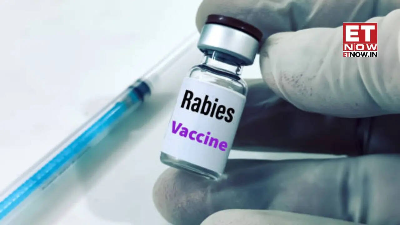 'Over-cautionary': Indian rabies vaccine maker issues clarification on ...