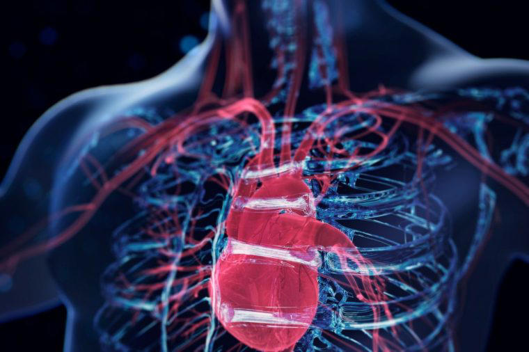 Think you know about good and bad cholesterol? Read this first