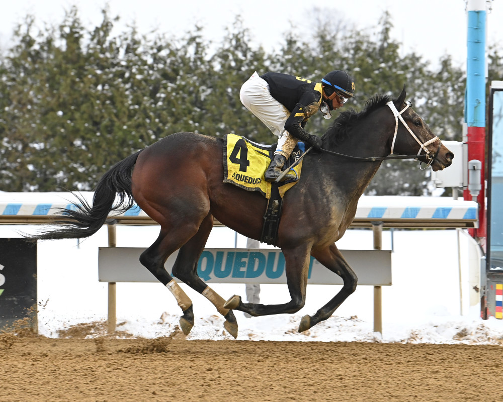 Full screen rules Aqueduct's Queens County
