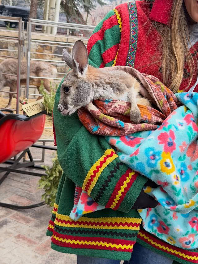 La actriz ha disfrutado de todas las actividades invernales en el resort