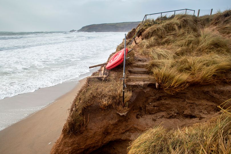 Story behind famous Cornish tree that fell into the sea