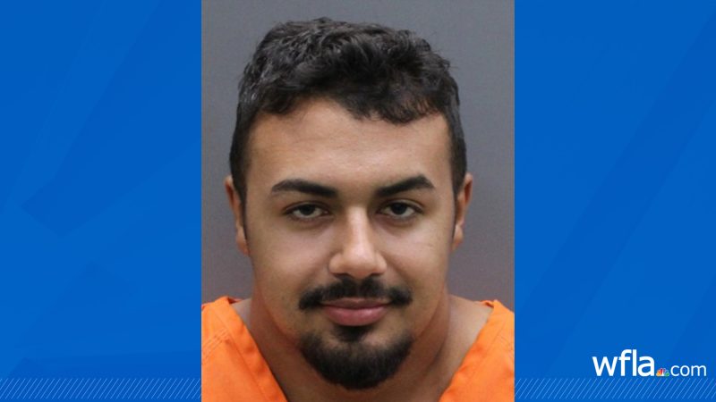 Man arrested in fatal crash that killed Apollo Beach teen<br><br>