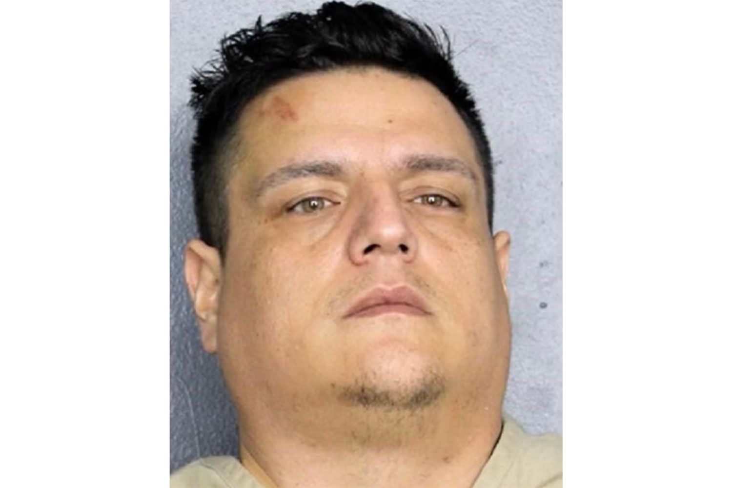 Fla. man accused of fatally stabbing his pregnant partner inside ...