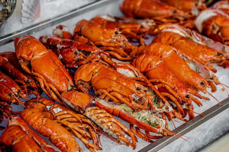 Langosta por valor de 400.000 dólares robada en camino a tiendas Costco, dice transportista