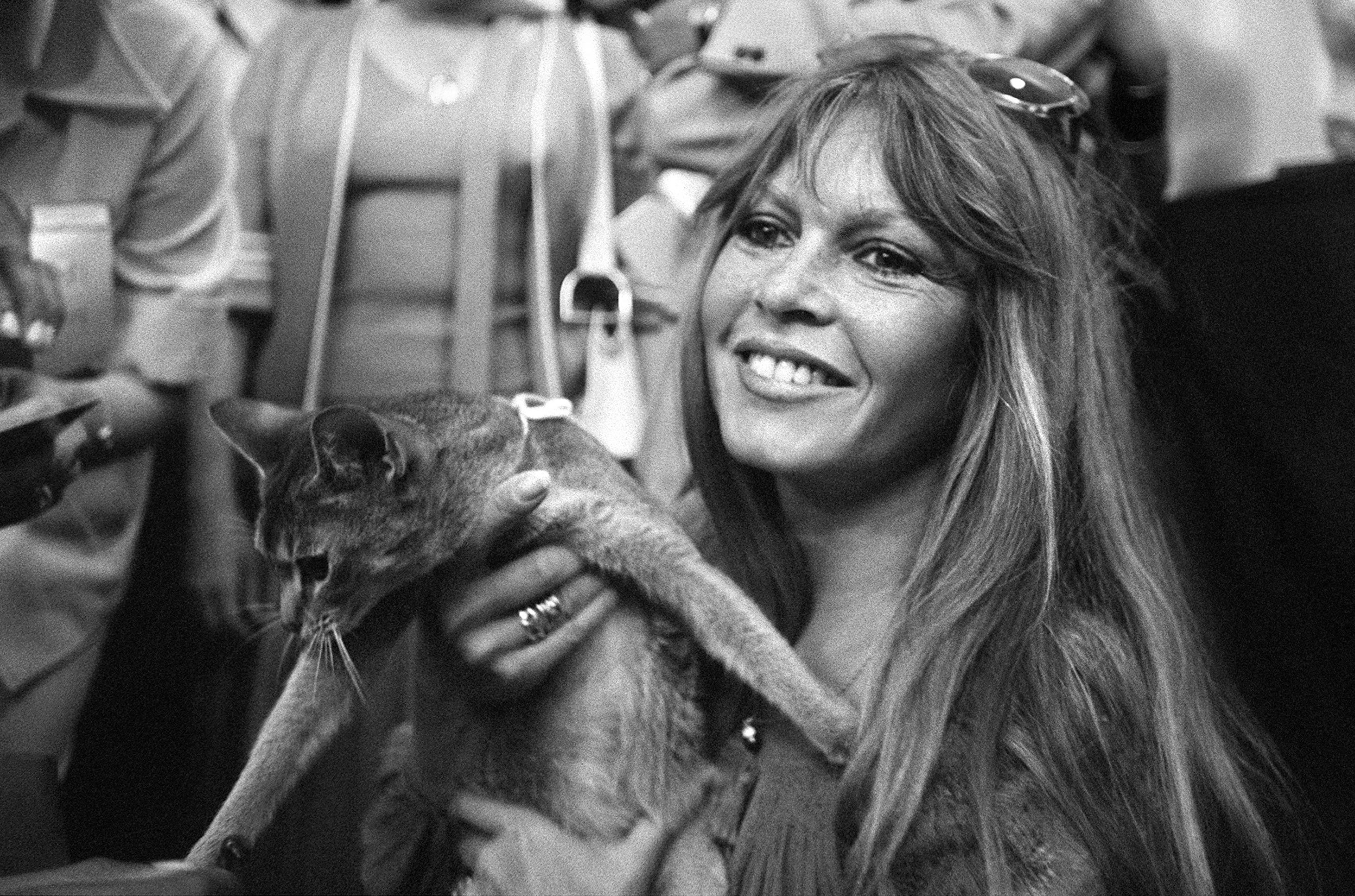 Brigitte Bardot cause of death: What we know about French icon<br><br>