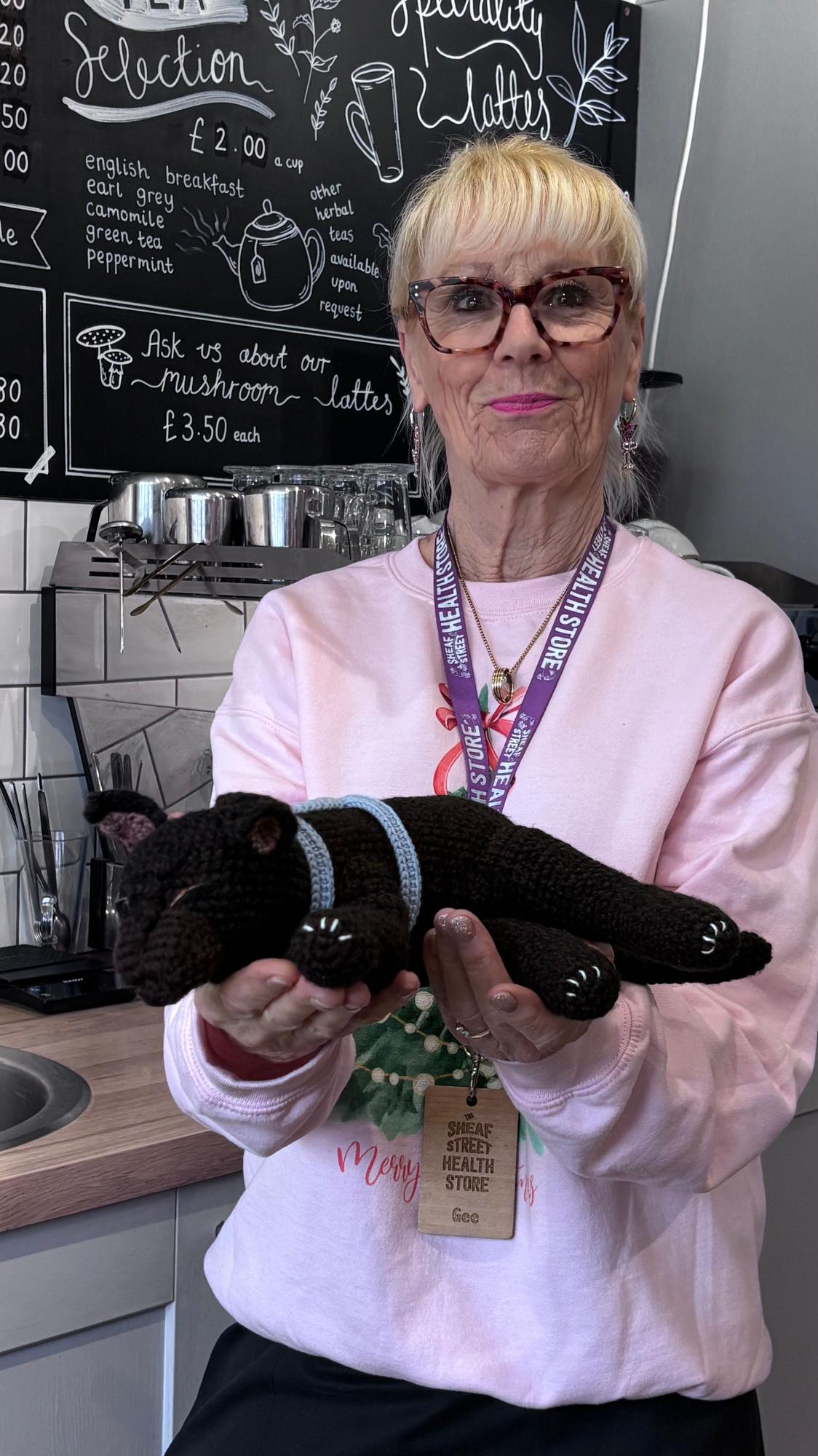 Craft a Salem The Cat Winners Announcemet