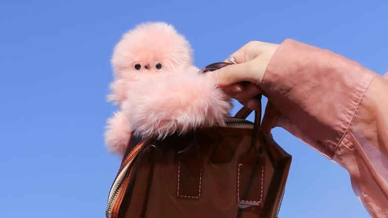 Labubu who? Japan's Mirumi could be 2026's next viral obsession