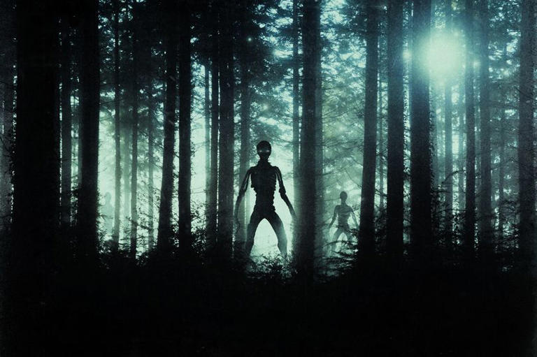 UFO message ‘from humanity’s future’ waited 30 years to be read