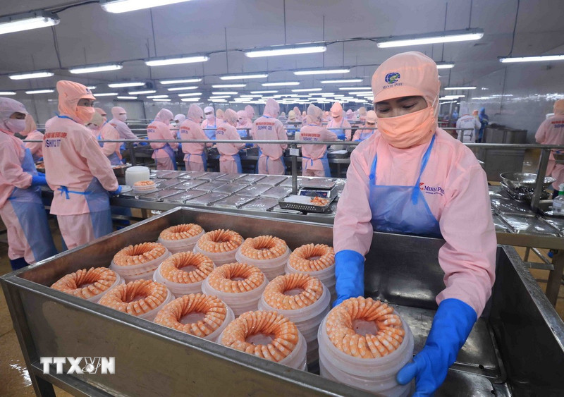 Đại hội Đảng XIV: Tự tin tiến vào kỷ nguyên mới với nền tảng vững chắc