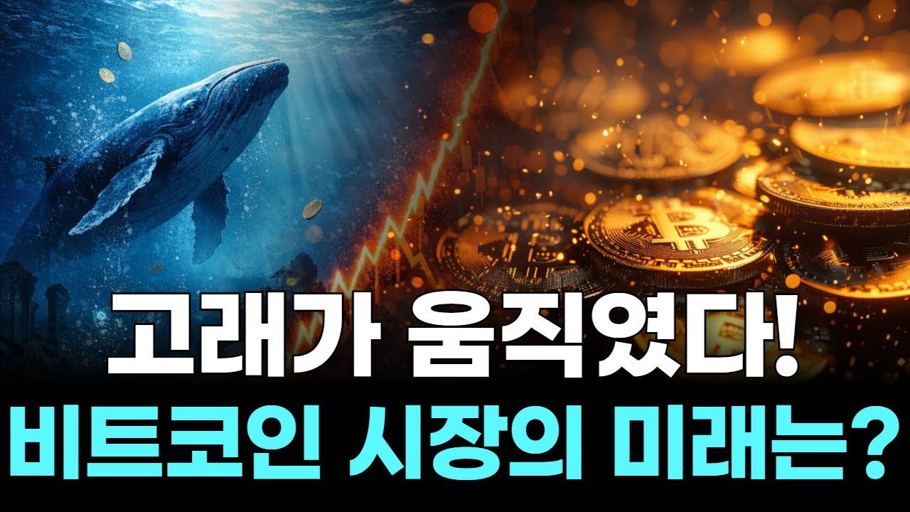 고래가 움직였다! 비트코인 시장의 미래는? | Watch