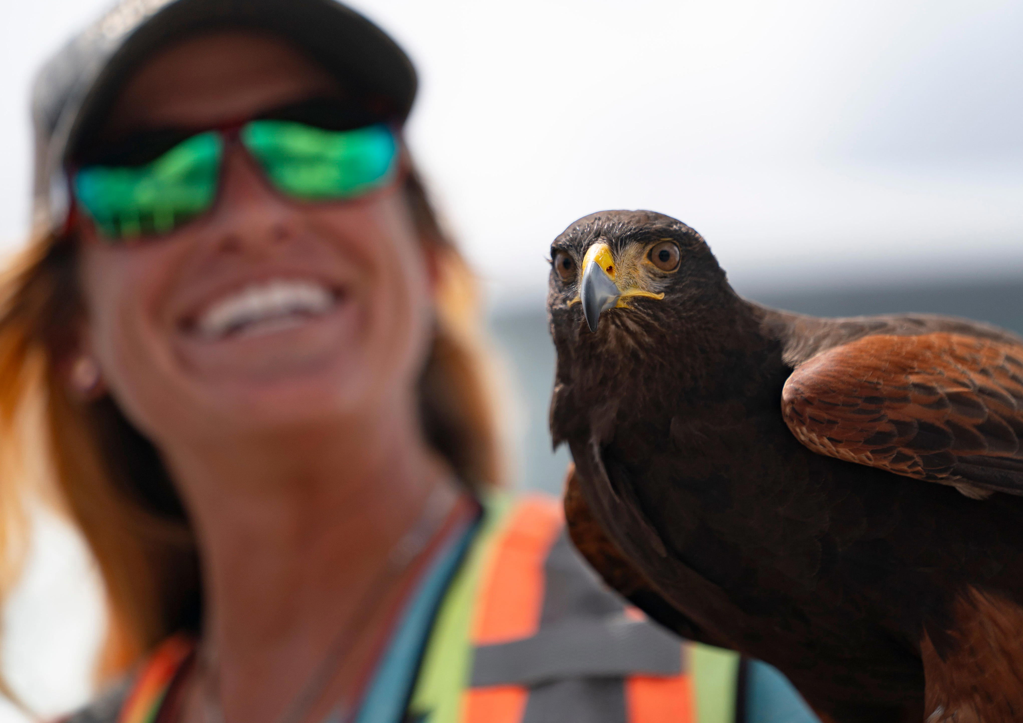 What national day is today? From birds to celebrating Mondays