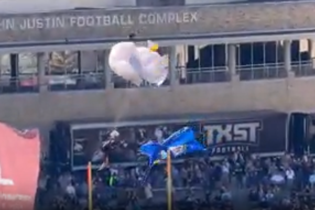 Skydiver gets caught in net while parachuting into football game