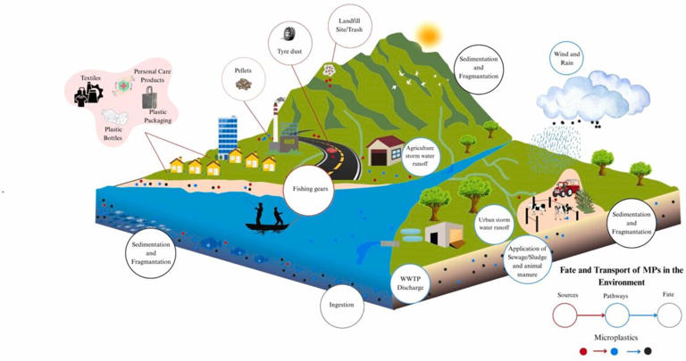 Oceans struggle to absorb Earth's carbon dioxide as microplastics ...