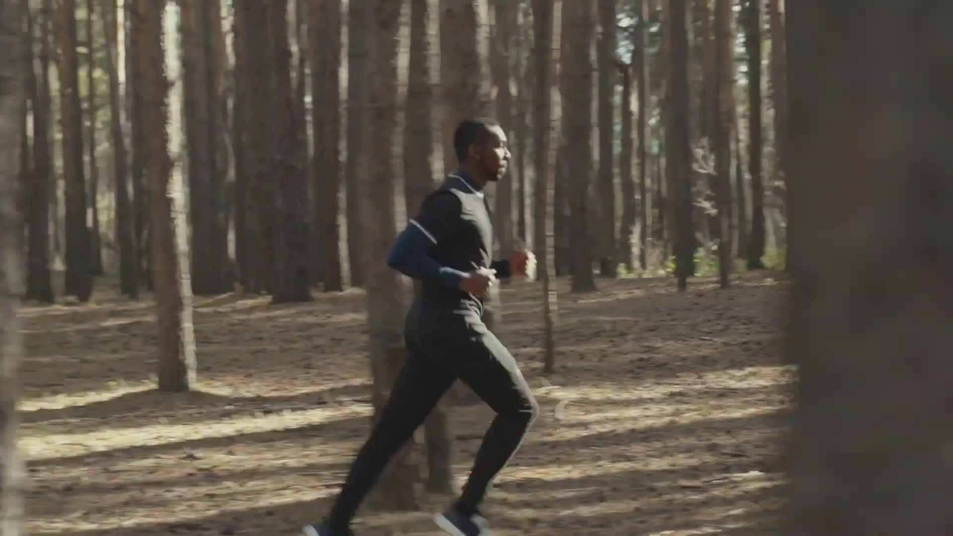 Jordan Peterson on mastering self-control for personal transformation