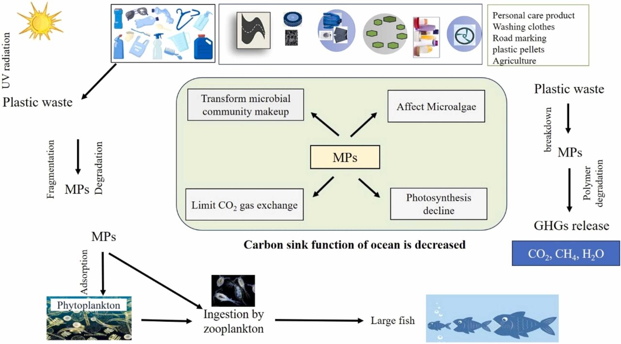 Oceans struggle to absorb Earth's carbon dioxide as microplastics ...