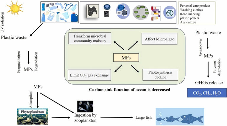 Oceans struggle to absorb Earth's carbon dioxide as microplastics ...