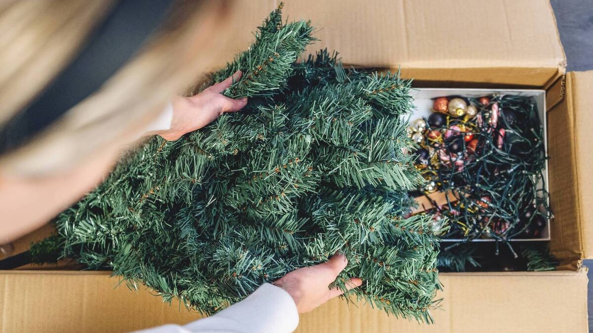 Life hack: How to safely store away your Christmas decorations as ...