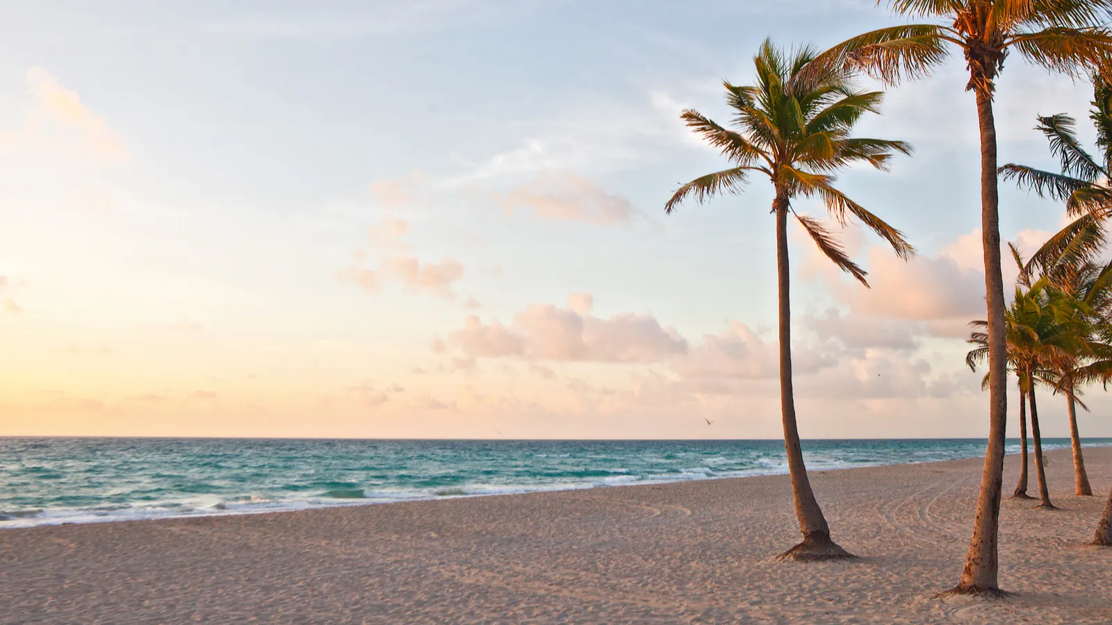 How Florida’s geography influences wildlife encounters for travelers