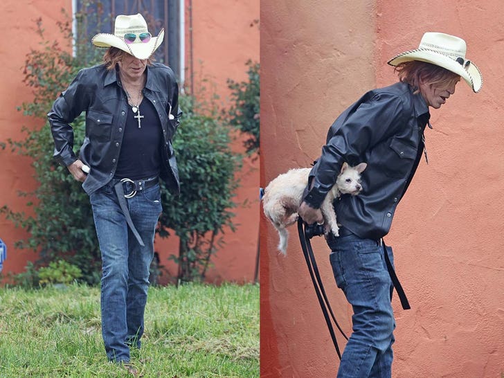 Mickey Rourke checks into West Hollywood hotel with dog amid threat of ...