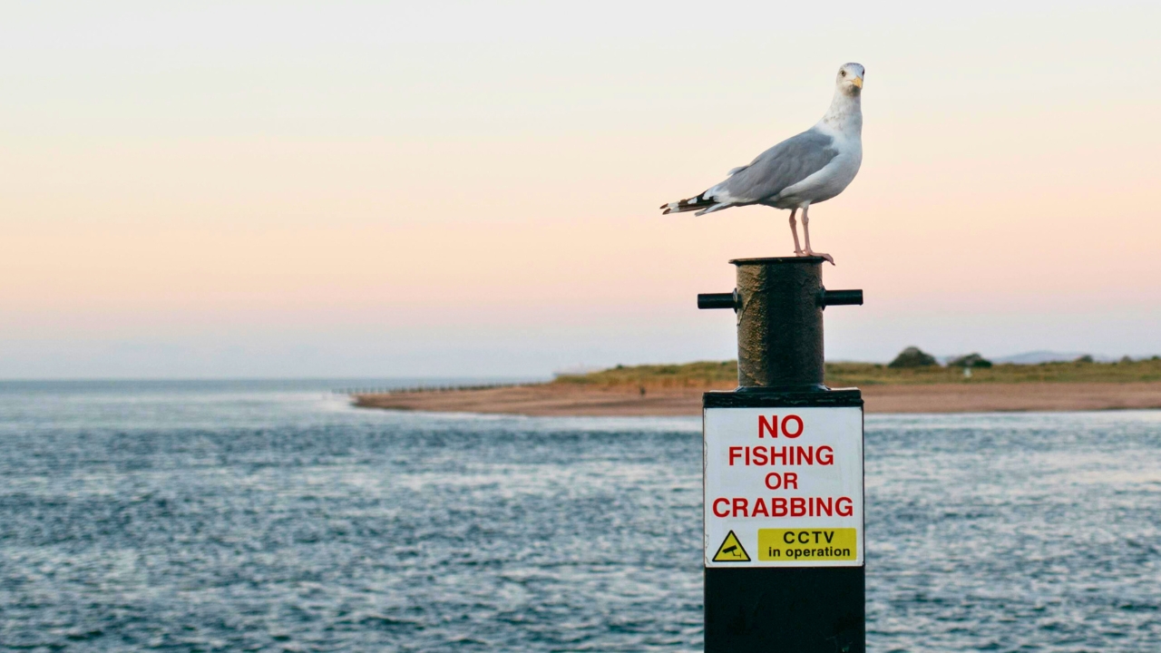 One of the biggest fishing closures of 2026 starts Jan. 1 and it’s massive