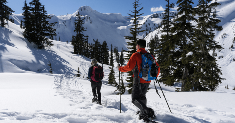 26 essential Washington experiences to plan for 2026