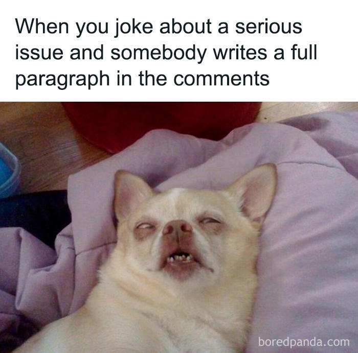 63 funny memes for your daily dose of cute animal content
