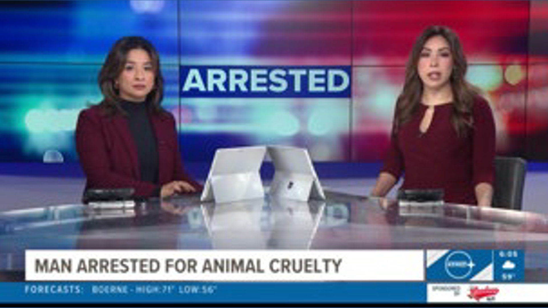 Man arrested for animal cruelty