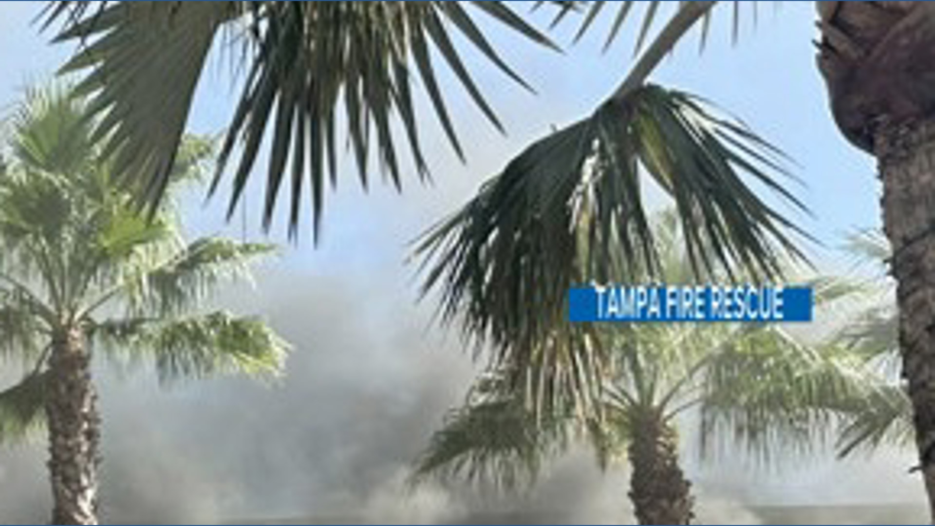 Several cars caught fire at the Grand Hyatt Hotel in Tampa