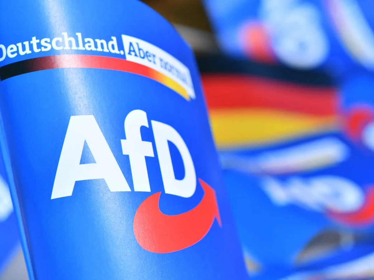 AfD posiluje i v novém roce. Za rok získala 9 procentních bodů a vede s ...