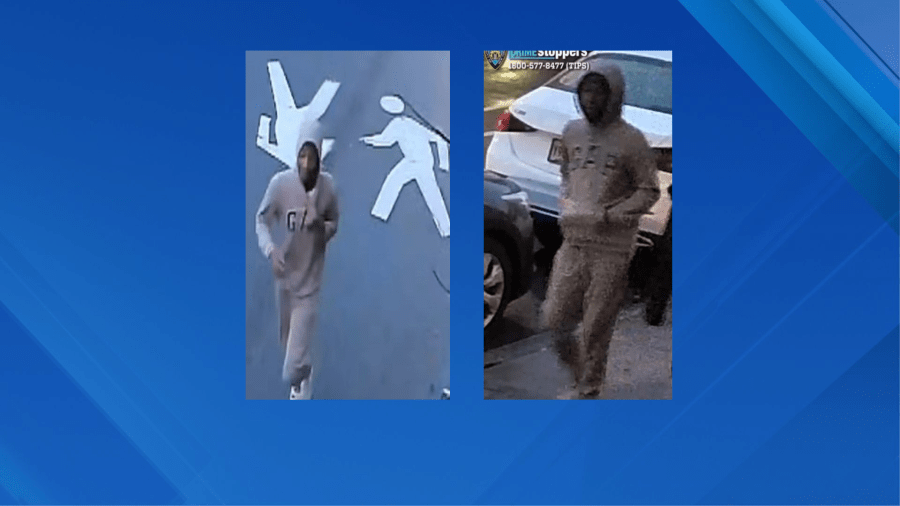 Woman, 69, fractures elbow in Central Park attack: NYPD<br><br>