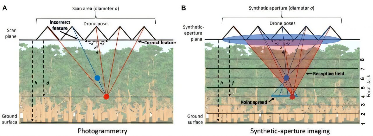 Drones with standard cameras reveal hidden forest layers using AI ...
