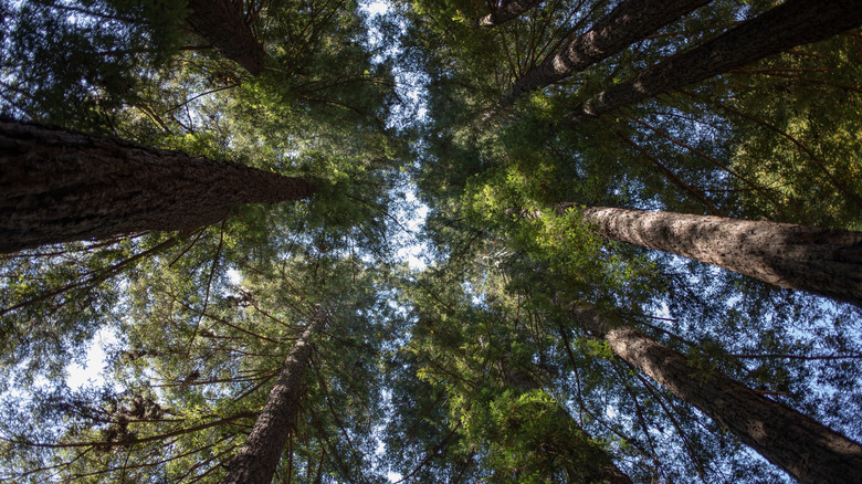 Between San Francisco and Santa Rosa is a hiking, biking, and camping ...