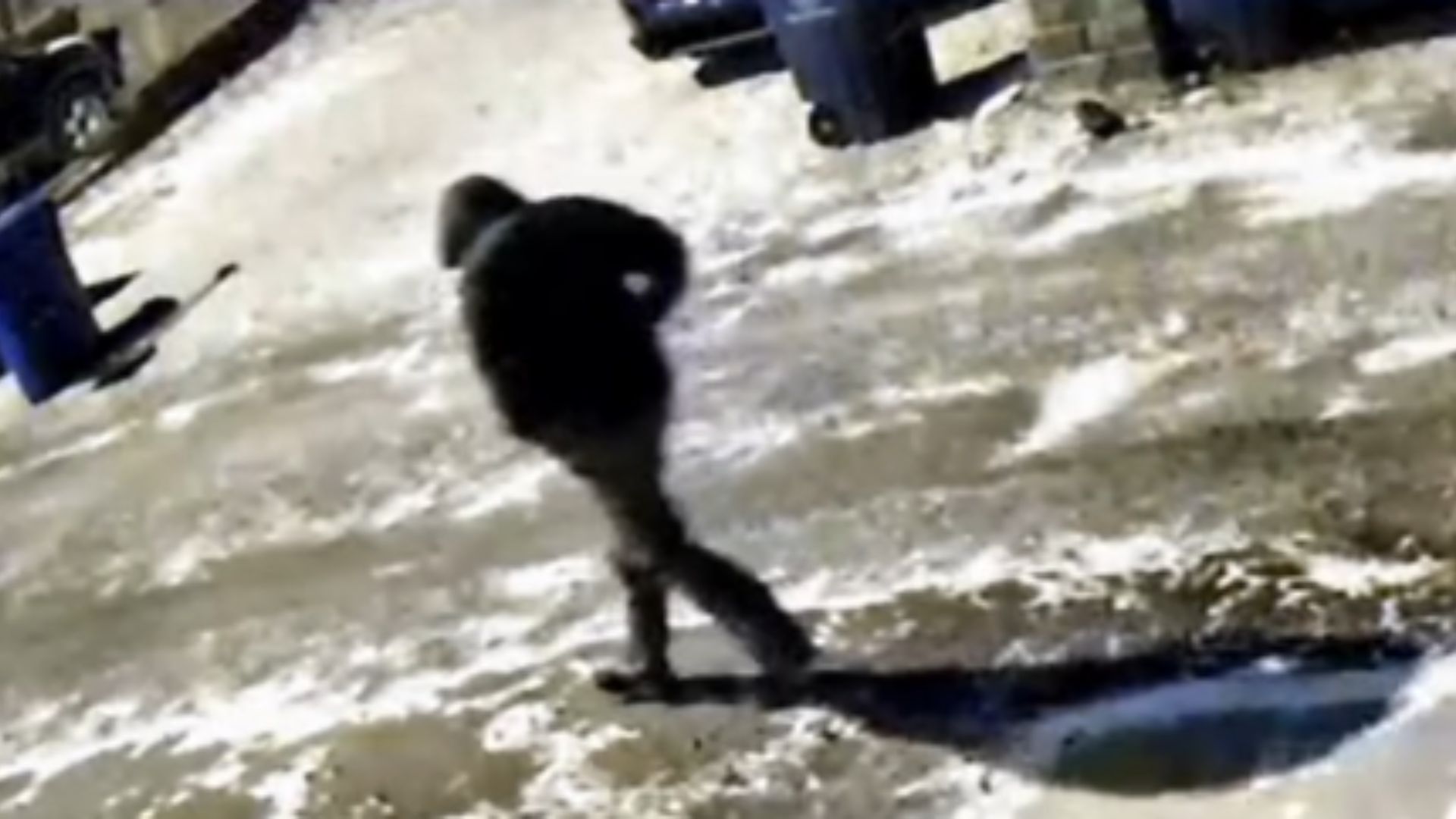 Spencer and Monique Tepe deaths update: Police reveal person of interest<br><br>