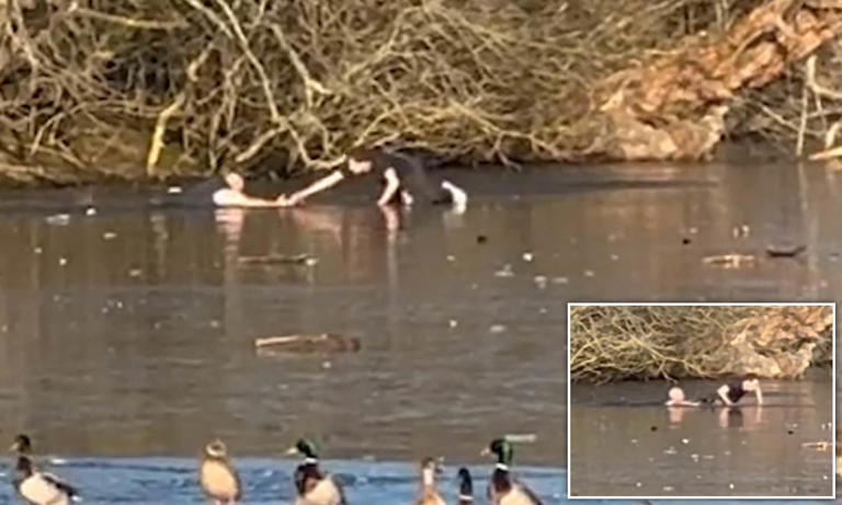 Moment hero passer-by falls into frozen Essex lake while trying to ...