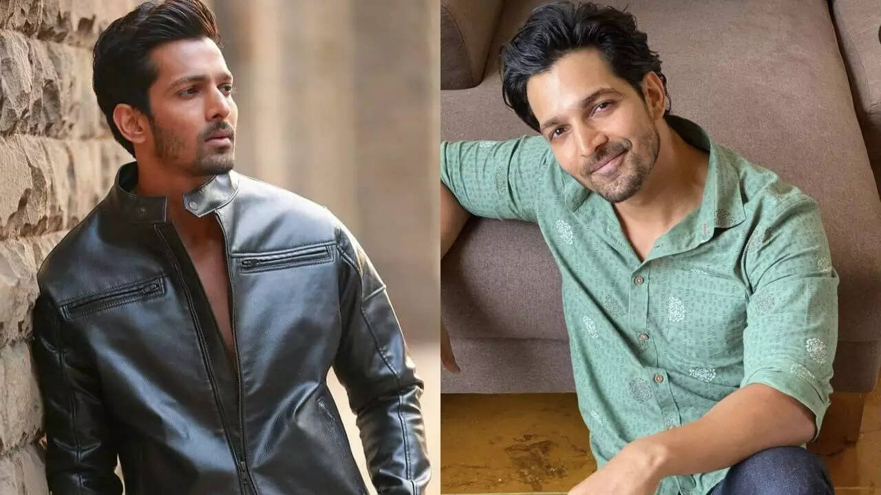 Harshvardhan Rane on 2026 plans after 'Ek Deewane Ki Deewaniyat ...