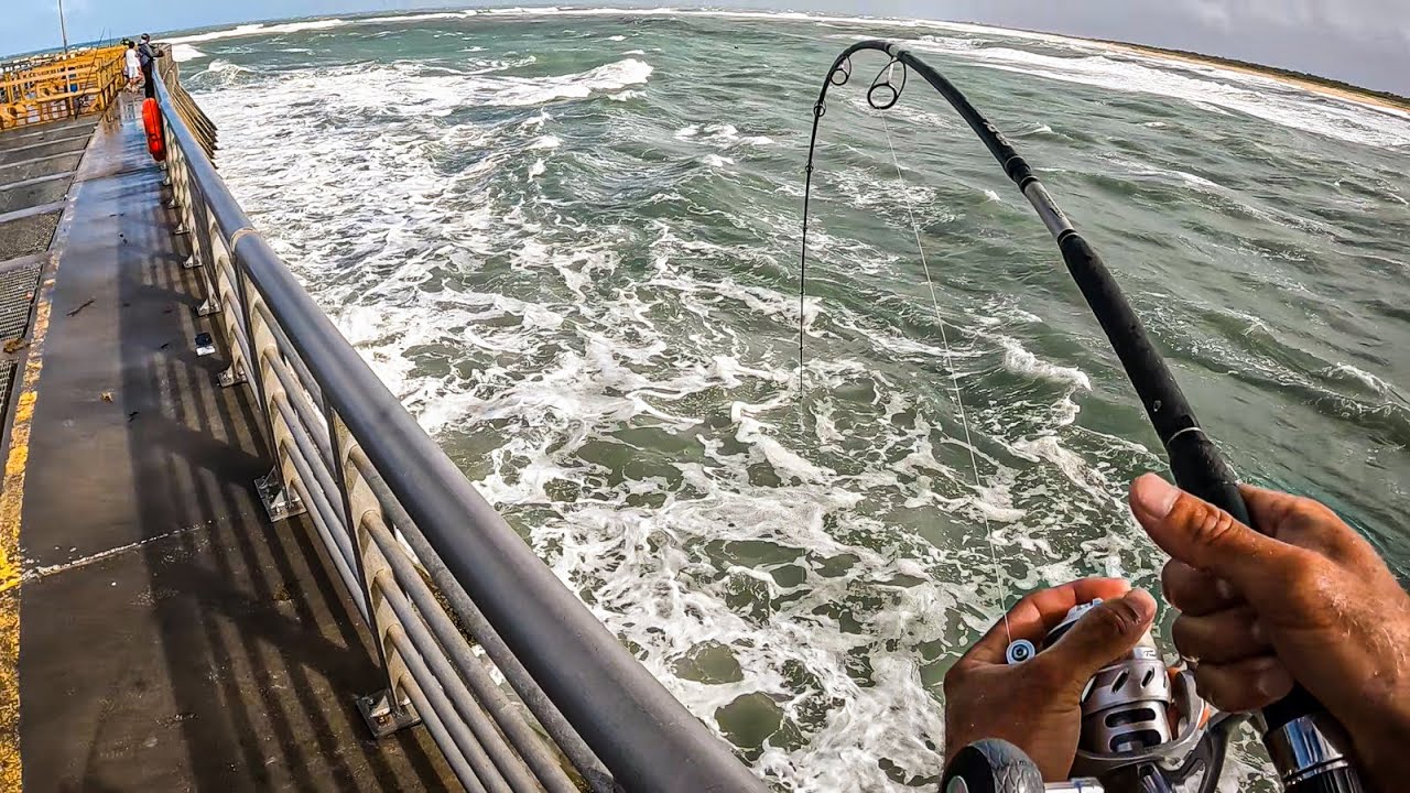 Best jetty fishing ever - every single bait gets smashed