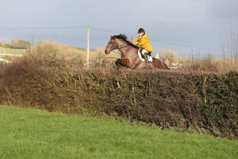 Horse Week: New Year’s Day with Holestone Farmers Bloodhounds