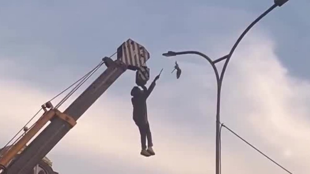 Dangerous rescue operation: Man risks his life for a small bird