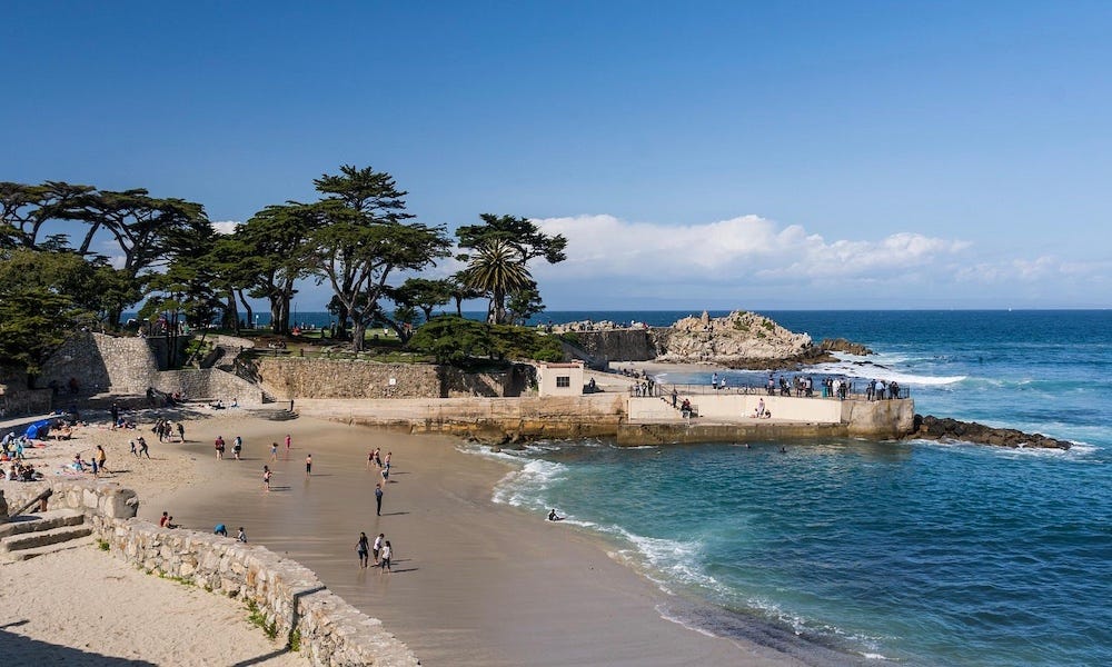 Surfing, swimming resume after fatal shark attack off Pacific Grove, CA